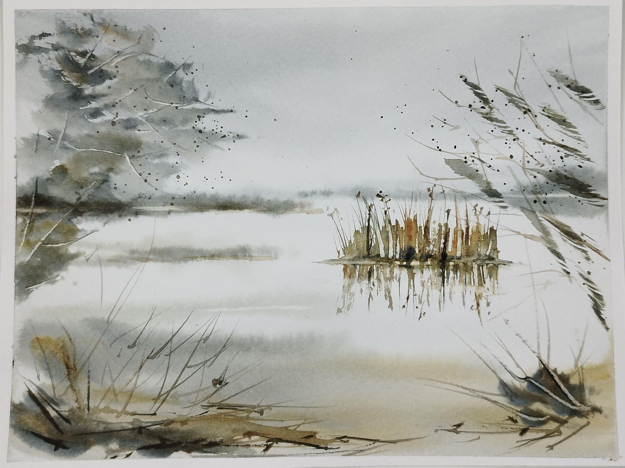 Eau_végétation_aquarelle