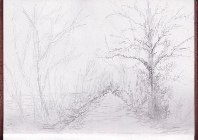 croquis arbres chemin dessin