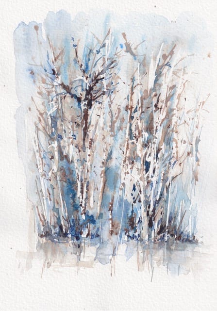Peinture aquarelle forêt arbre bouleau eau